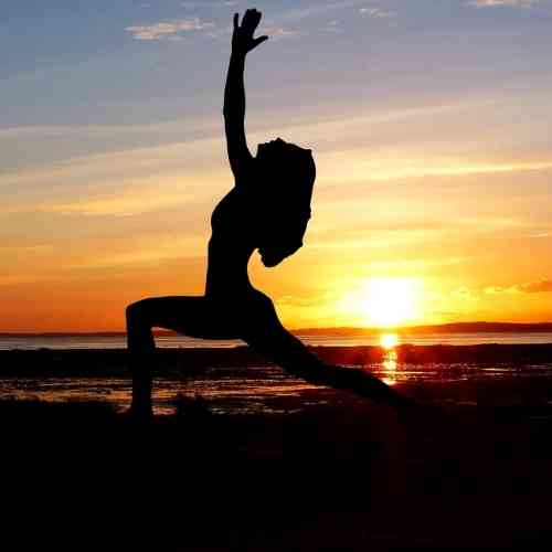Yin mobility mouvements du corps et mobilité articulaire